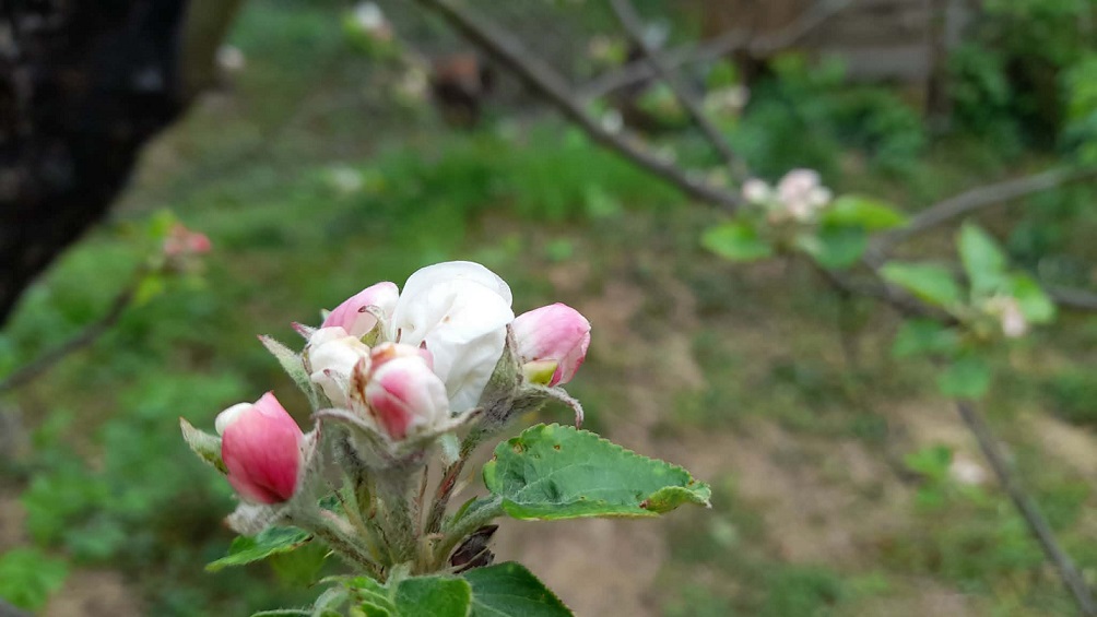 Hétvégi csillagüzenetek – 2026. április 11. szombat – 12. vasárnap