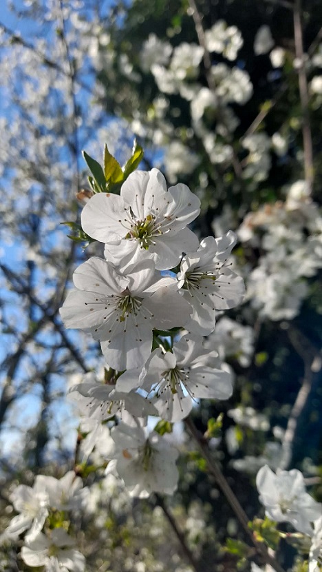 Szabad-e? …Szabad! – 2026. április 7. kedd – 8. szerda